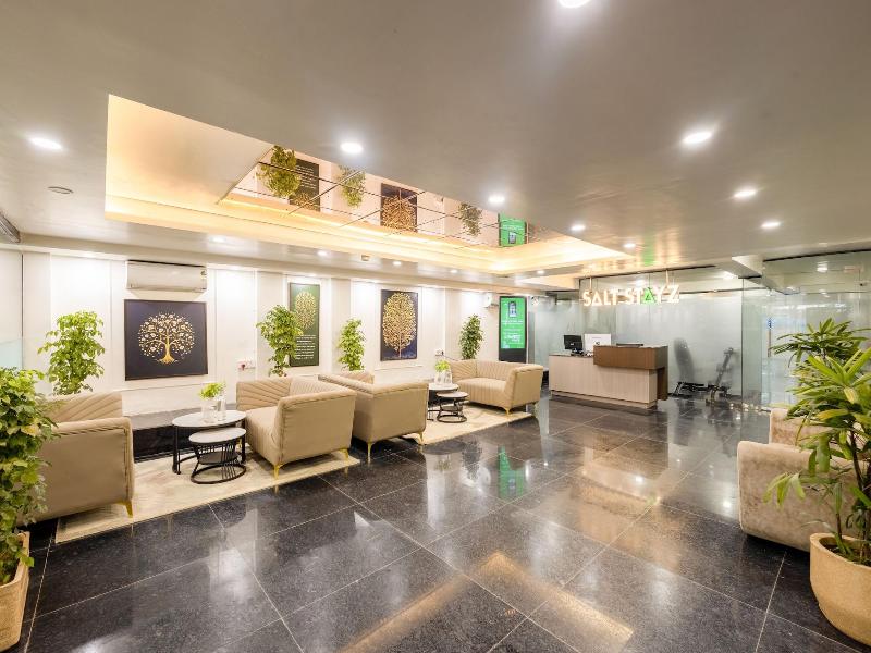 Saltstayz Premier - Paschim Vihar image