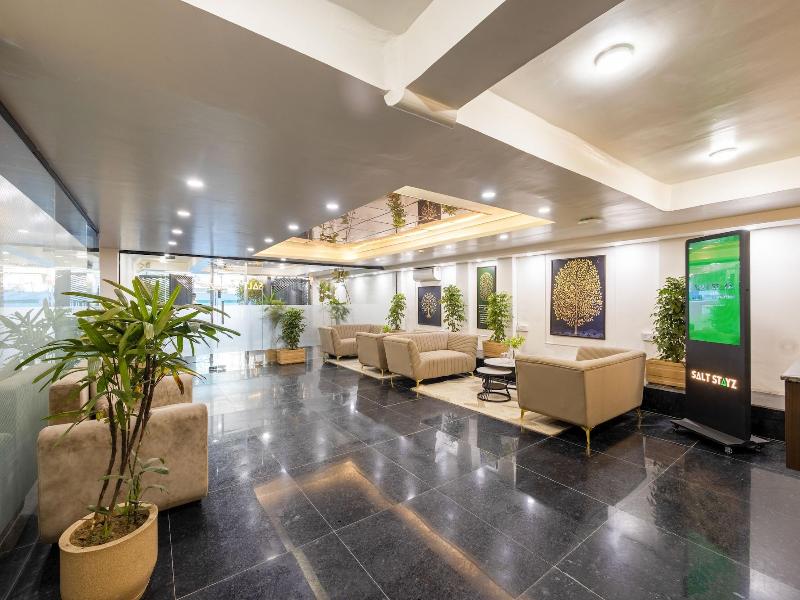 Saltstayz Premier - Paschim Vihar image