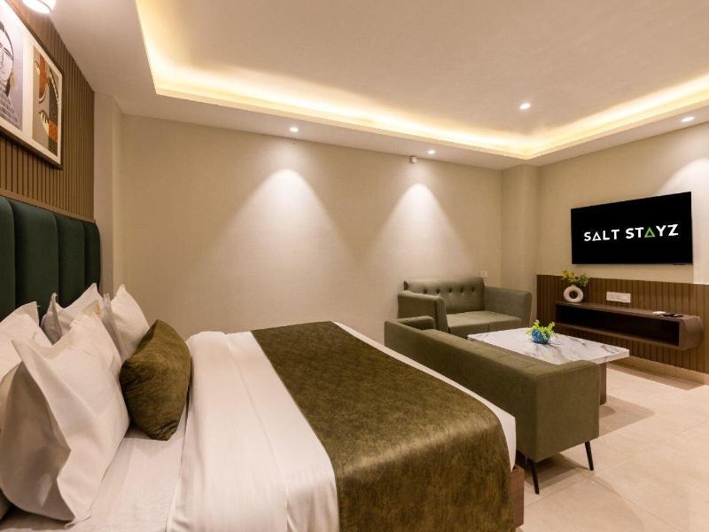Saltstayz Premier - Paschim Vihar image