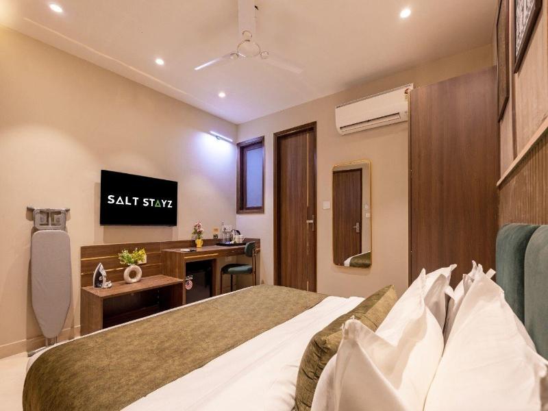 Saltstayz Premier - Paschim Vihar image
