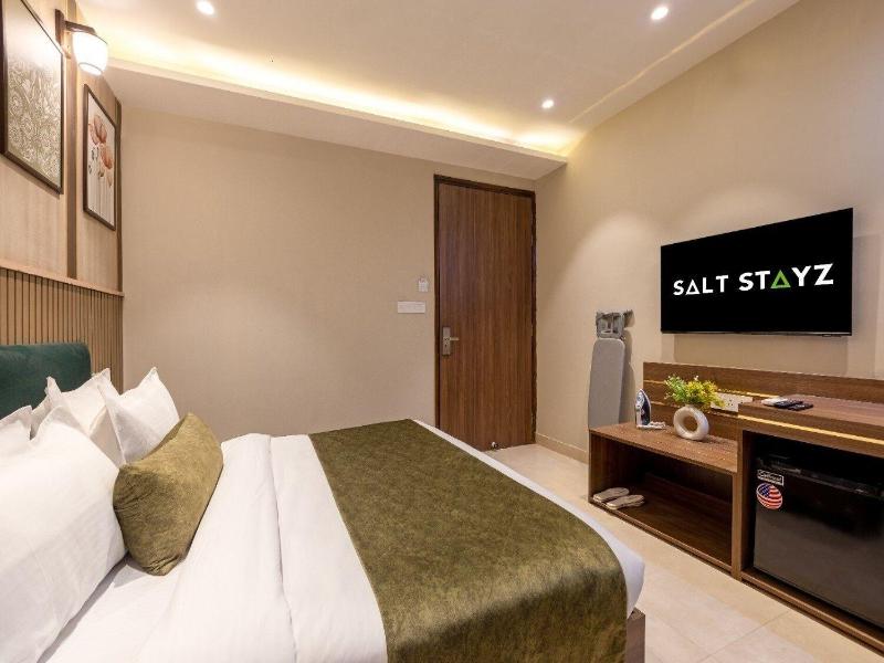 Saltstayz Premier - Paschim Vihar image