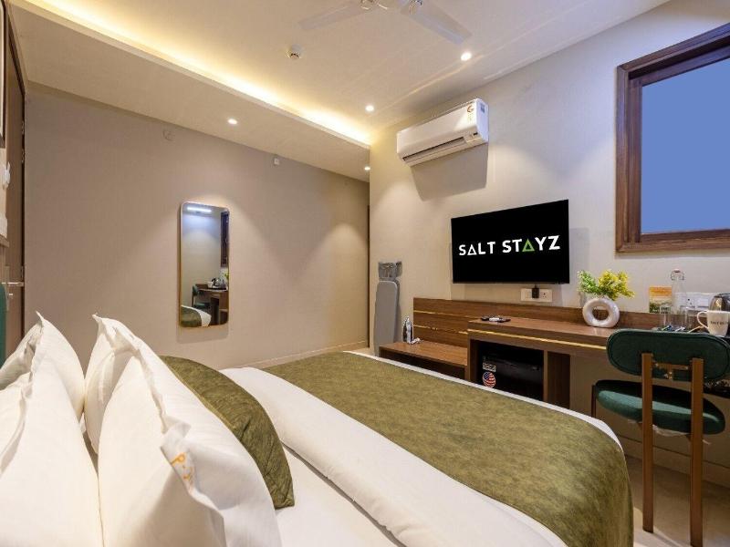 Saltstayz Premier - Paschim Vihar image