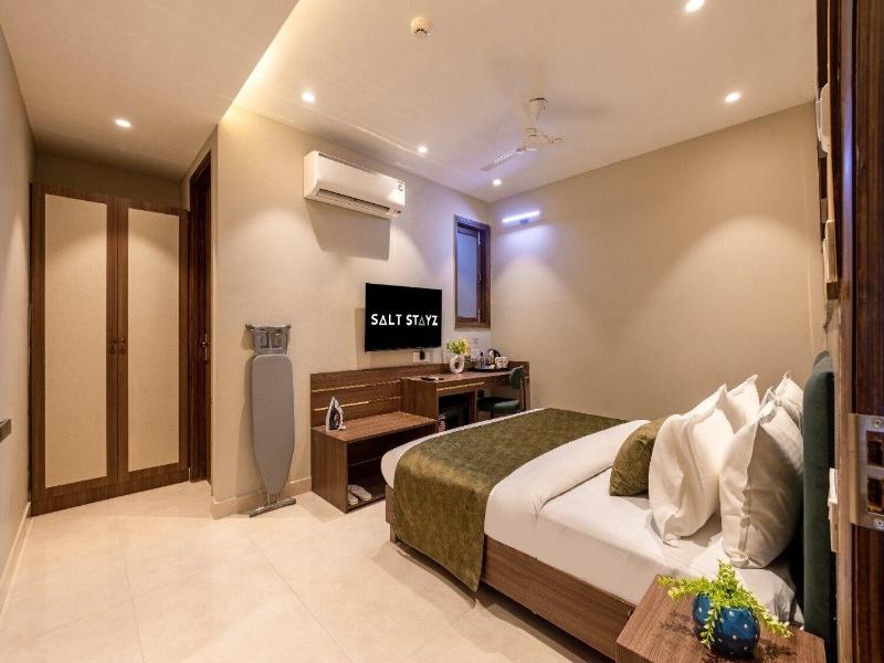 Saltstayz Premier - Paschim Vihar image