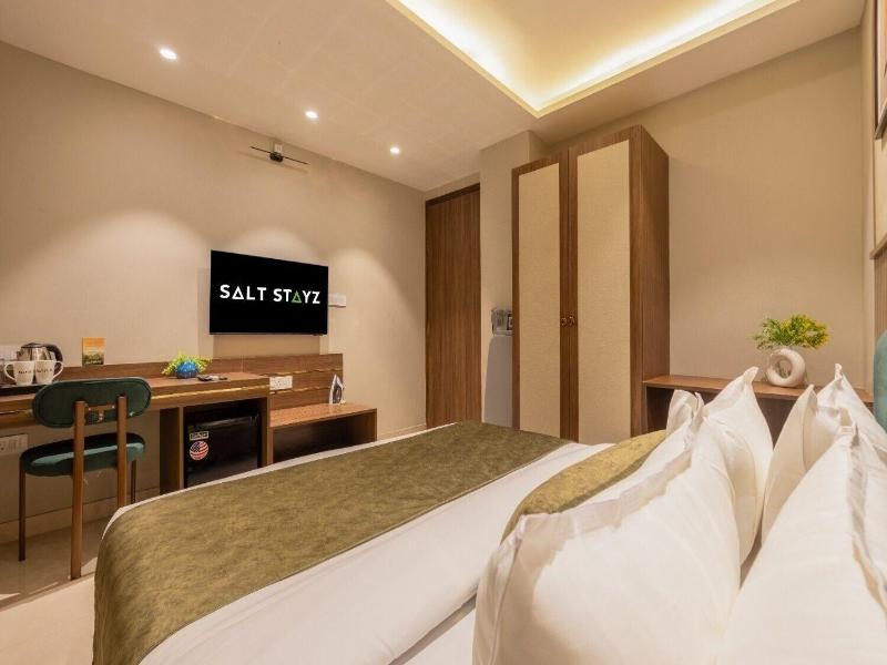 Saltstayz Premier - Paschim Vihar image