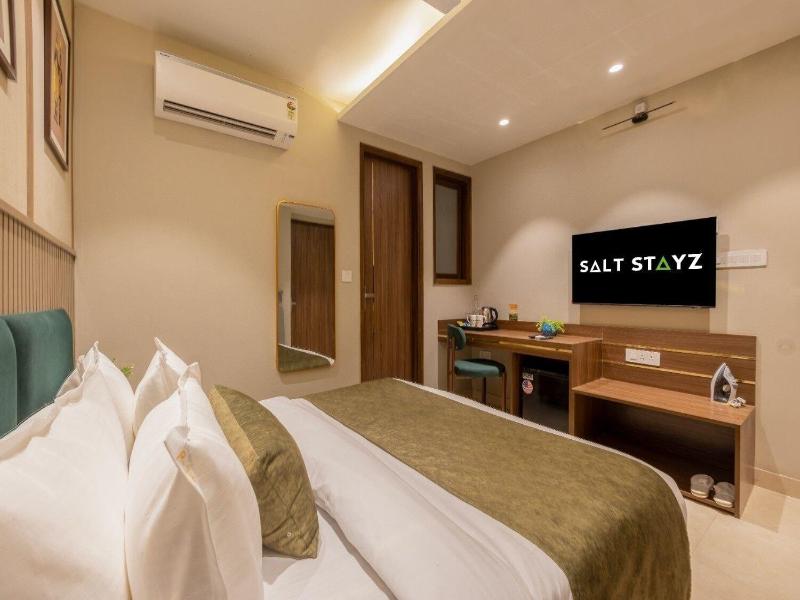 Saltstayz Premier - Paschim Vihar image