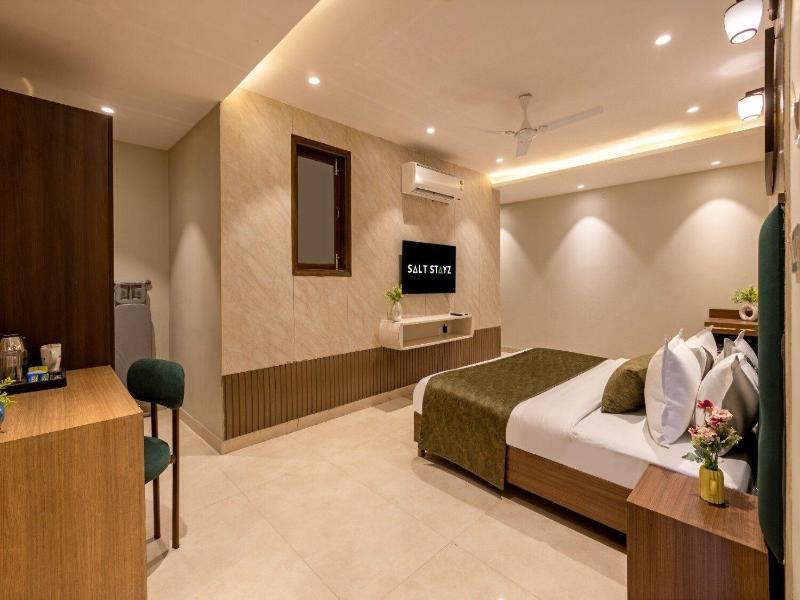 Saltstayz Premier - Paschim Vihar image