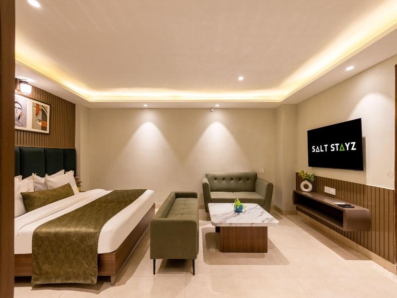Saltstayz Premier - Paschim Vihar image