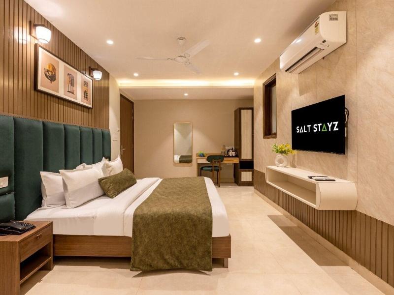 Saltstayz Premier - Paschim Vihar image