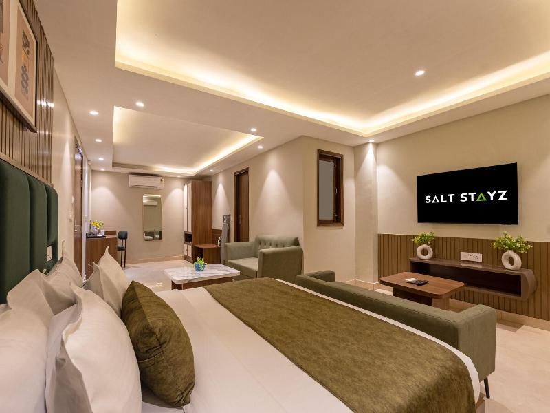 Saltstayz Premier - Paschim Vihar image