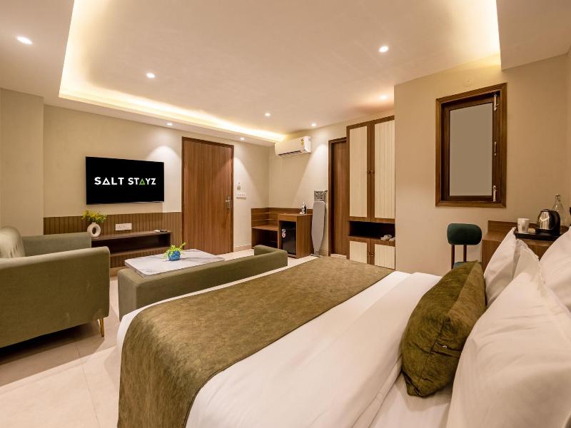 Saltstayz Premier - Paschim Vihar image