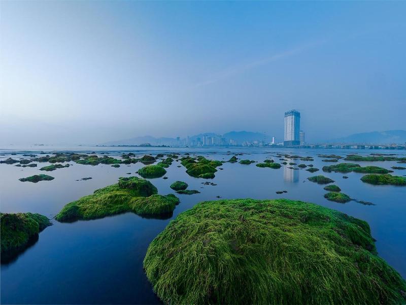 Golden Lotus Central Hotel image