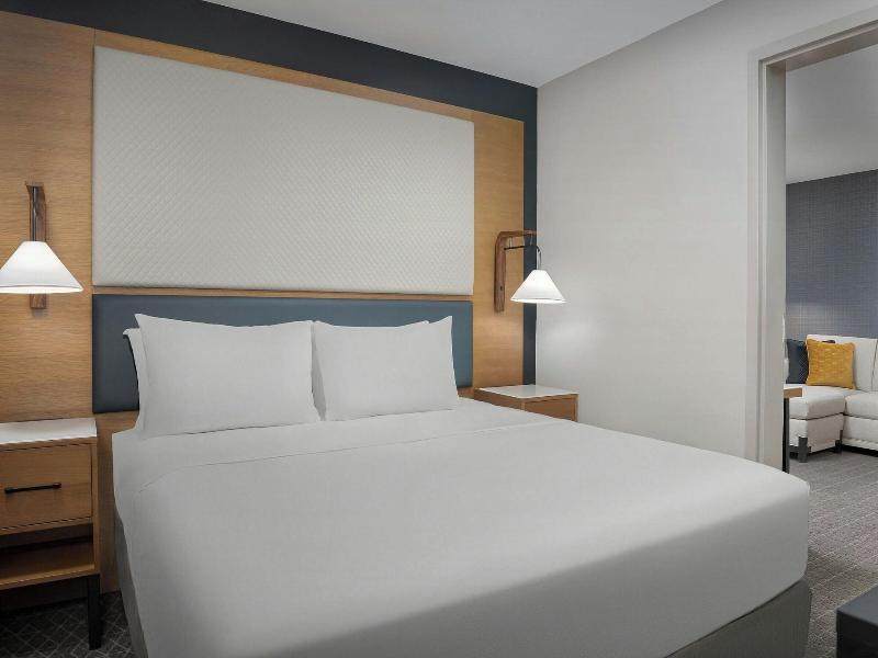 SUITE KING BED ONE BEDROOM — photo 10