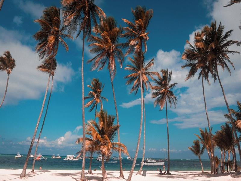 W Punta Cana, Adult All-inclusive image