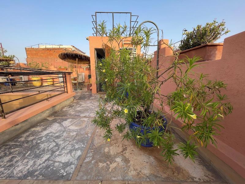 Riad Samarine image