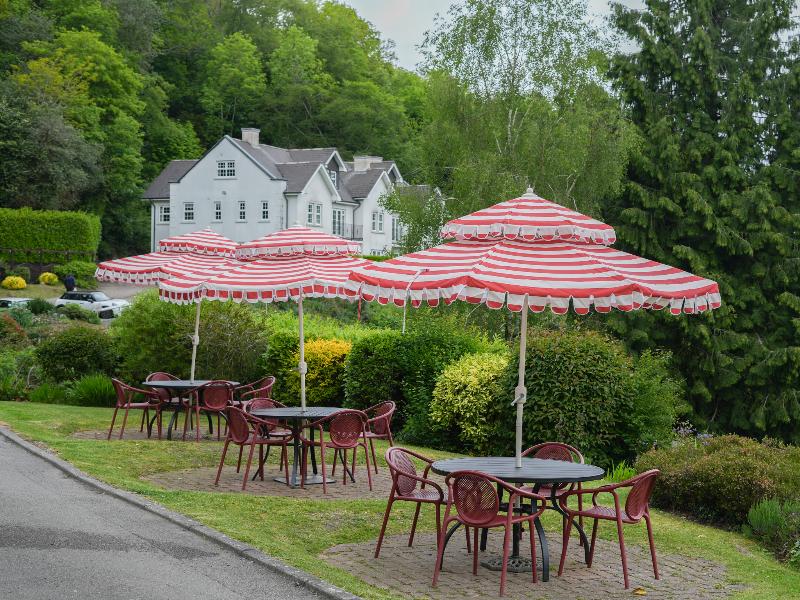 Cottage In The Wood Hotel