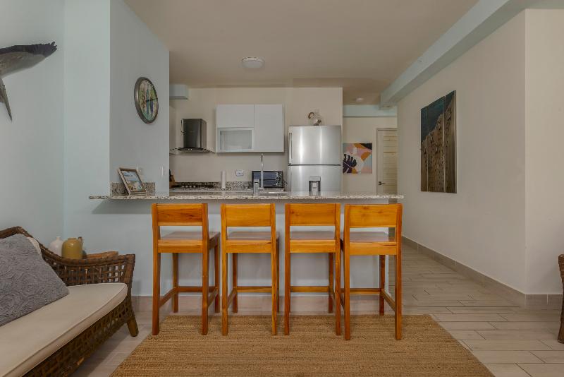 Playa Caracol Rentals image