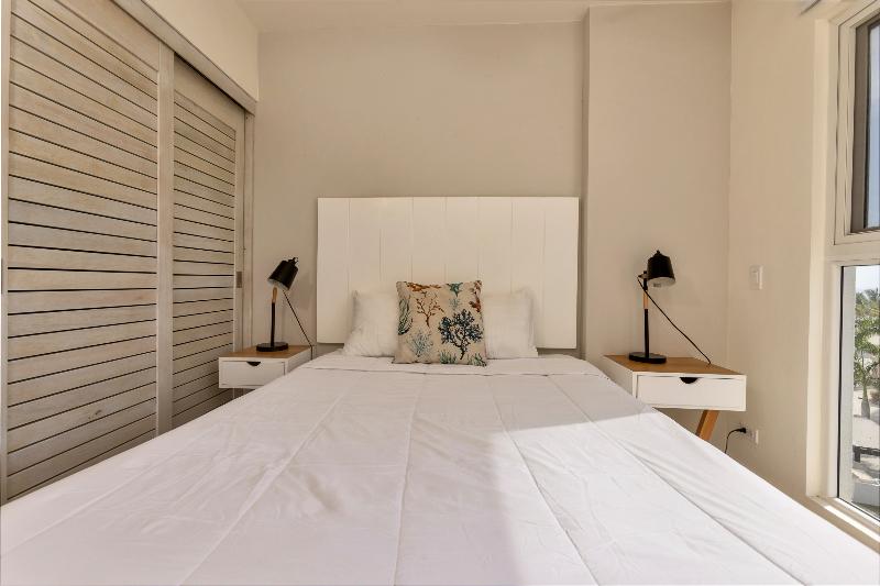 Playa Caracol Rentals image