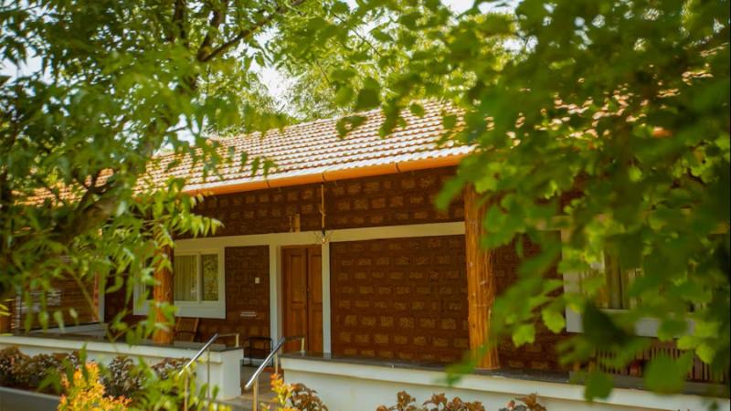 Aara Jungle Resort image