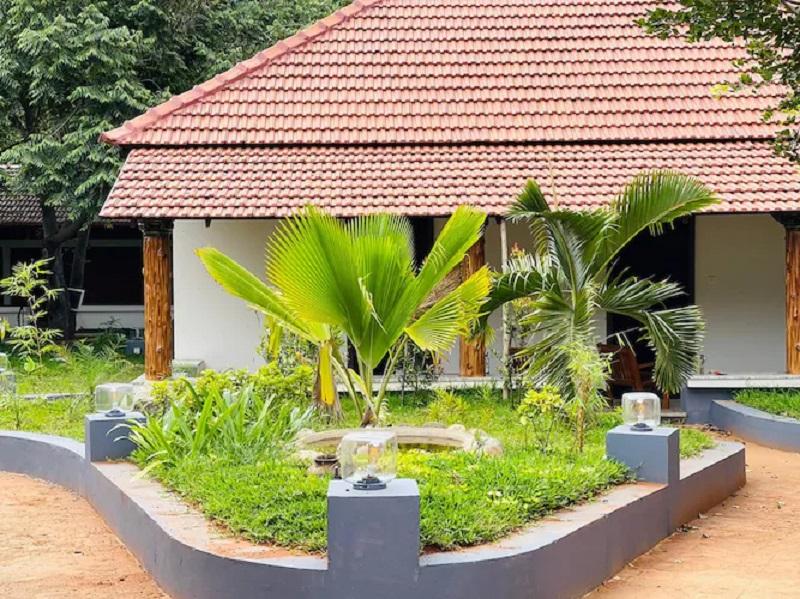 Aara Jungle Resort image