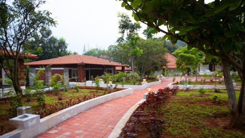 Aara Jungle Resort image