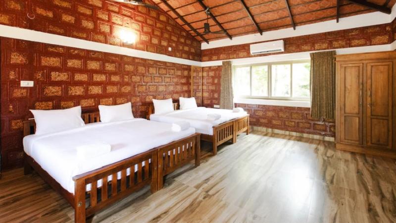 Aara Jungle Resort image