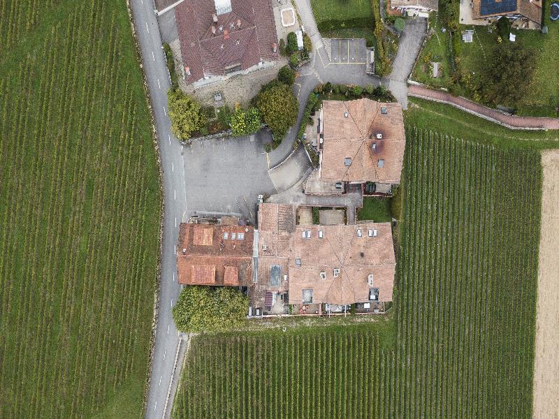Amanthos Living Nyon  — general view