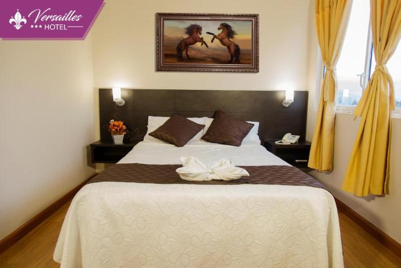 Hotel Versailles image