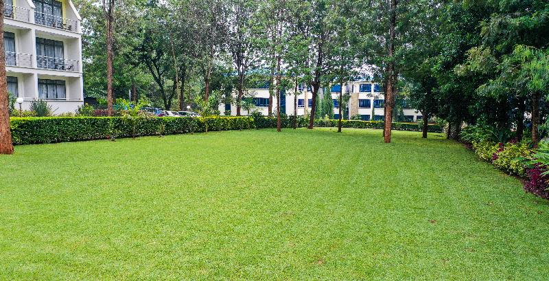 Serene Hidden Hills Hotel