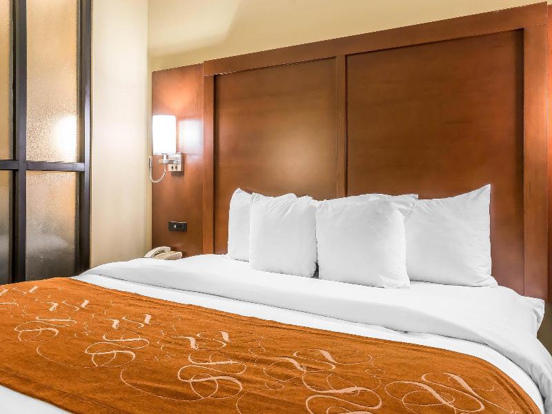 Comfort Suites Savannah North image