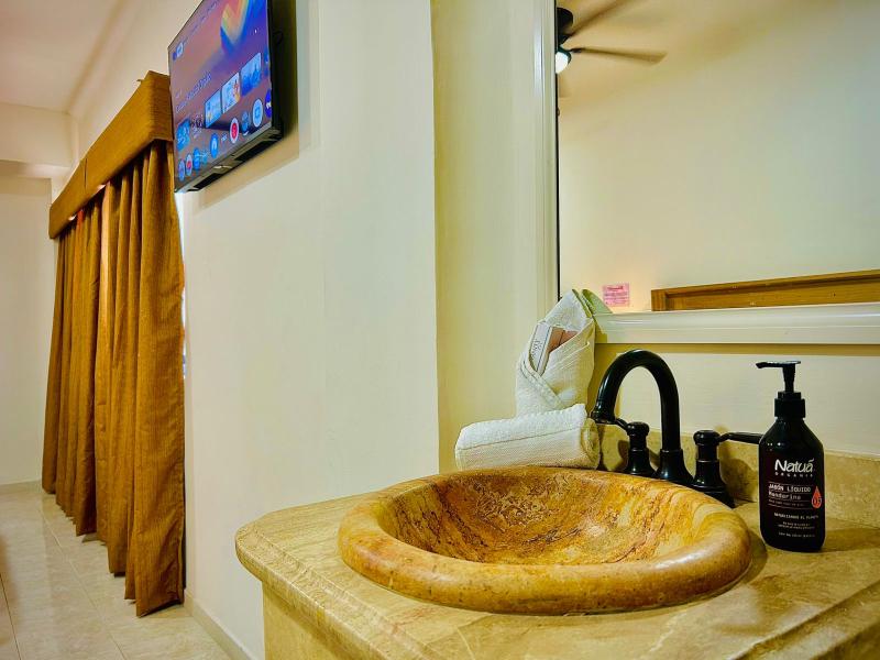 Hotel Grand Lion image