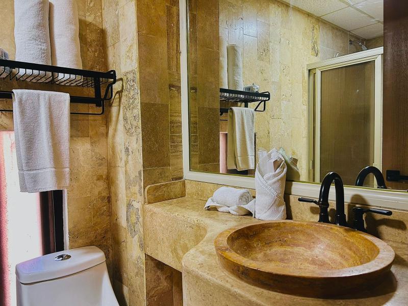 Hotel Grand Lion image