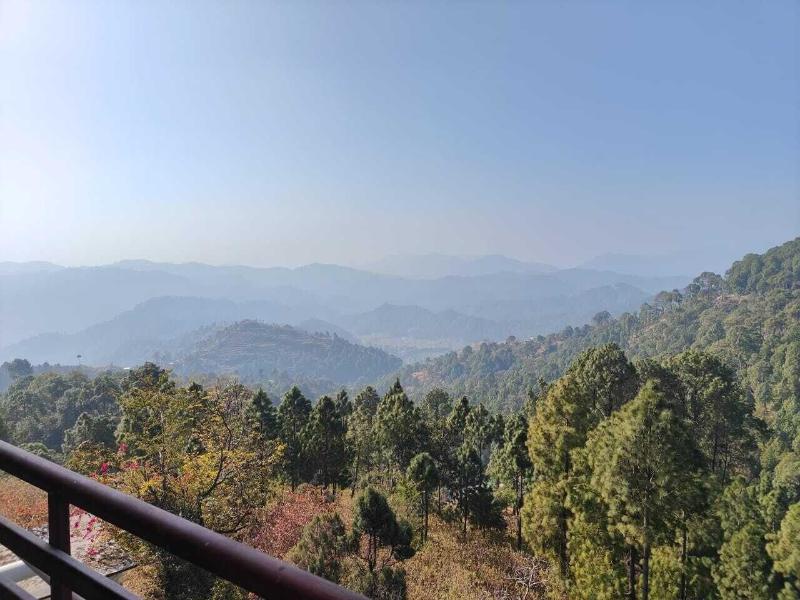 Sunny Pines Resort — photo 33