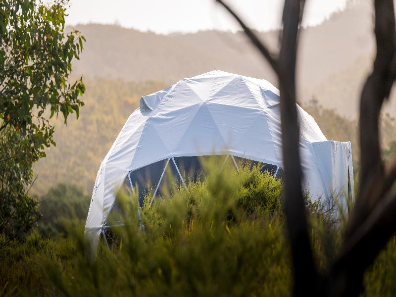 Aurora Dome - Garden View - Twin Share