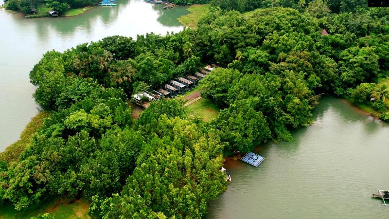 Kaliraya Surf Kamp Laguna image