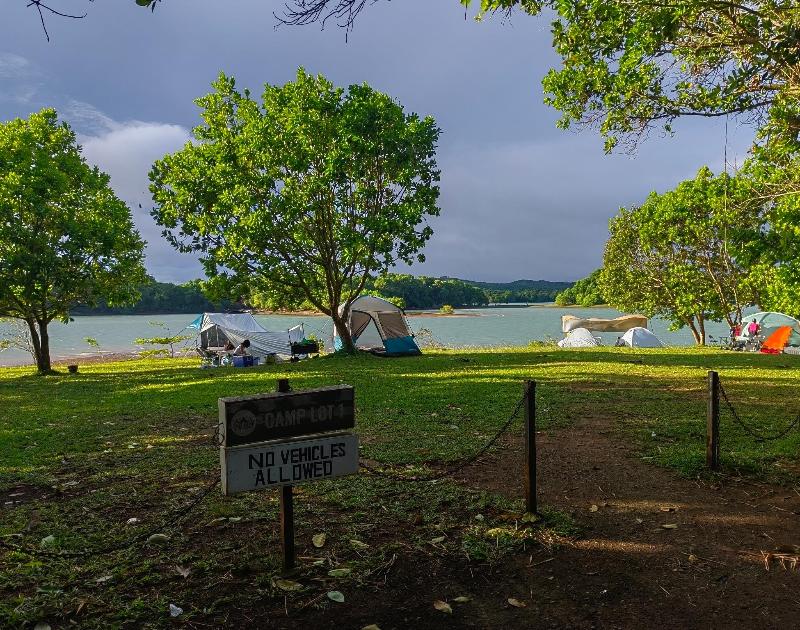 Kaliraya Surf Kamp Laguna image