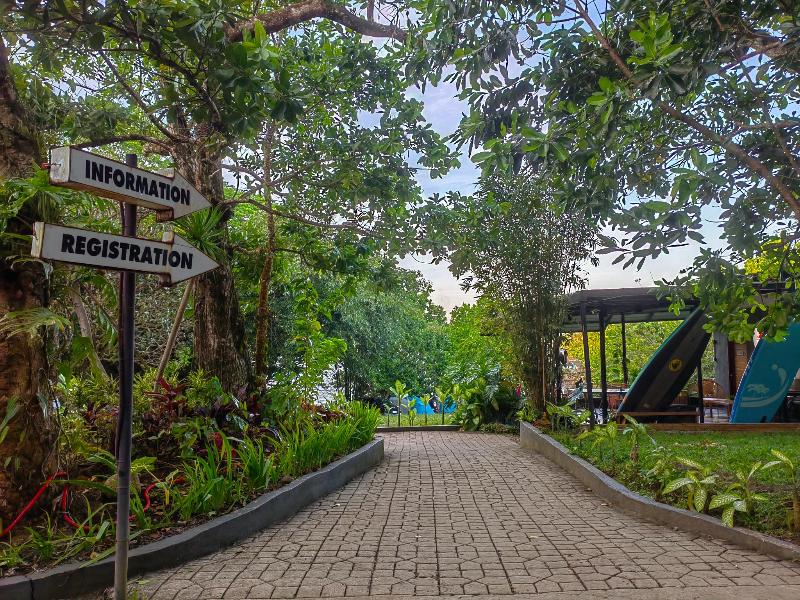 Kaliraya Surf Kamp Laguna image