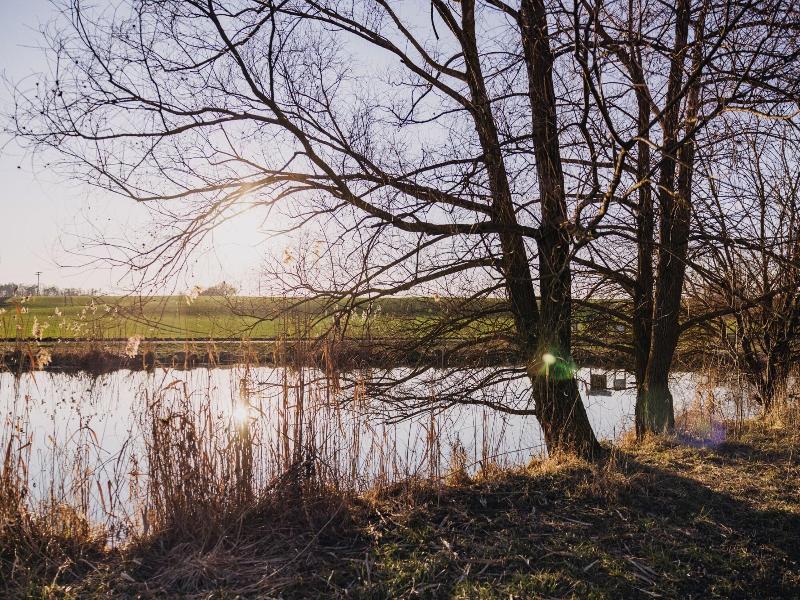 Mühlenhof Franken image