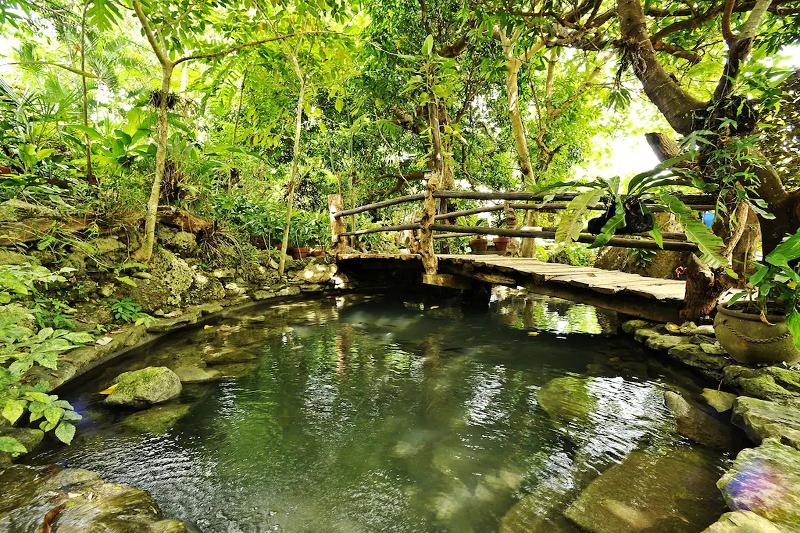 Oldwoods By The Sea Nature Resort Bani Pangasinan image