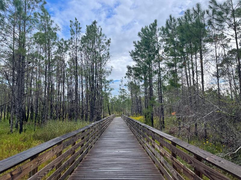 Eagle Cottages & The Cabins At Gulf State Park image
