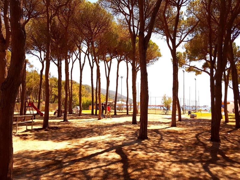 Hotel Punto Verde image