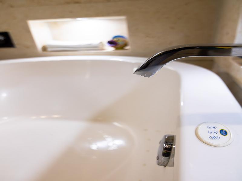 Hotel Plaza San Cristobal Inn image