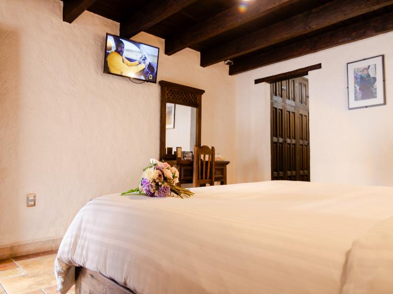 Hotel Plaza San Cristobal Inn image