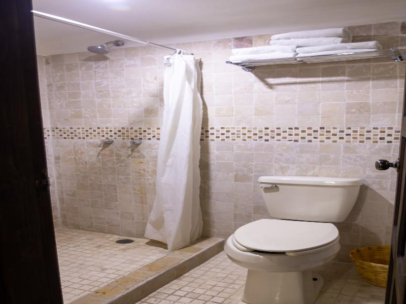 Hotel Plaza San Cristobal Inn image