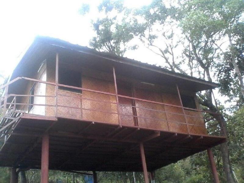 Punarjani Ayurvedic Resort