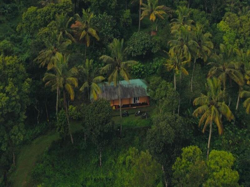 Punarjani Ayurvedic Resort