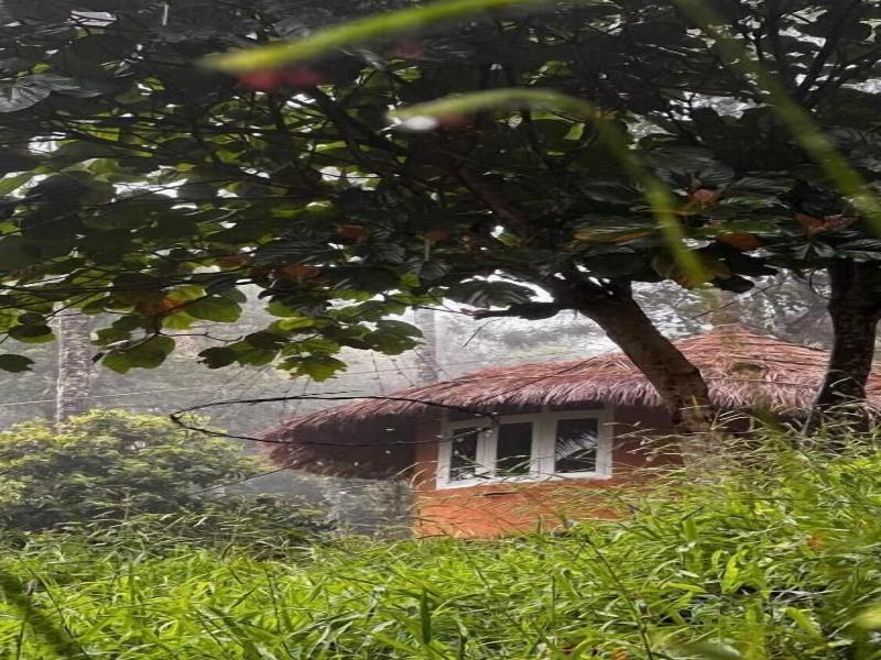 Punarjani Ayurvedic Resort