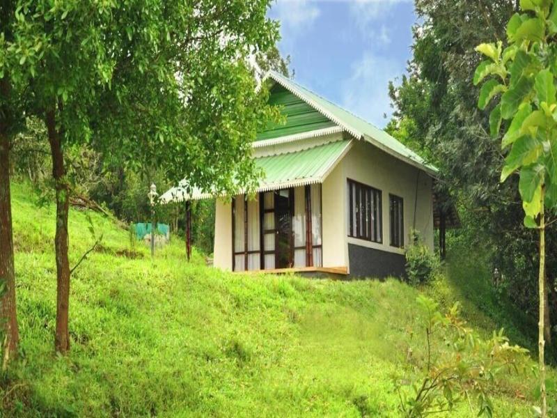 Punarjani Ayurvedic Resort