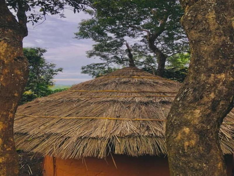 Punarjani Ayurvedic Resort