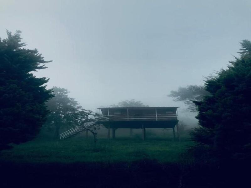 Punarjani Ayurvedic Resort