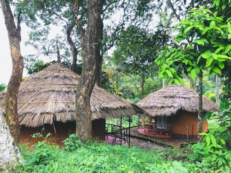 Punarjani Ayurvedic Resort